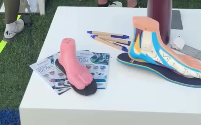 Plantillas personalizadas de PodoFeet con modelos anatómicos del pie.